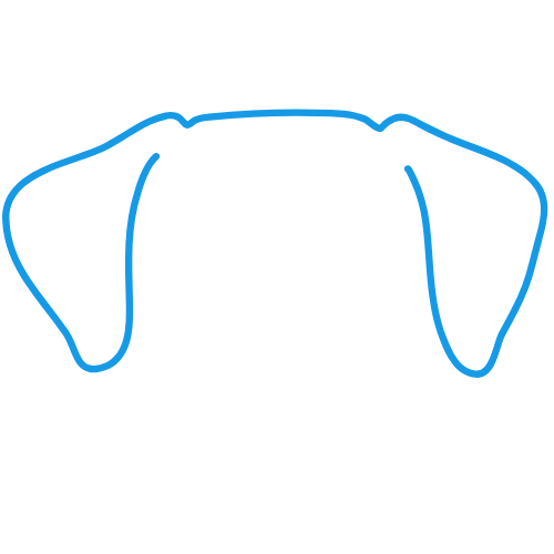 NovaPetsco